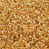 TOHO 11/0 Round Beads SEED-XTR11-0022-2