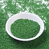MIYUKI Round Rocailles Beads X-SEED-G007-RR0411-2