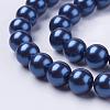 Shell Pearl Beads Strands BSHE-L035-10mm-I08-1