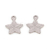 Non-Tarnish 201 Stainless Steel Charms STAS-L244-18P-2