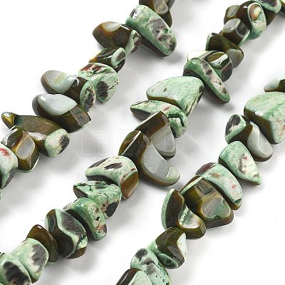 Dyed Natural Trochus Shell Beads Strands BSHE-Z006-01A-1