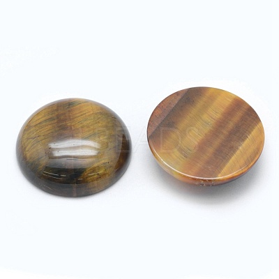 Natural Tiger Eye Cabochons G-E492-F-01-1