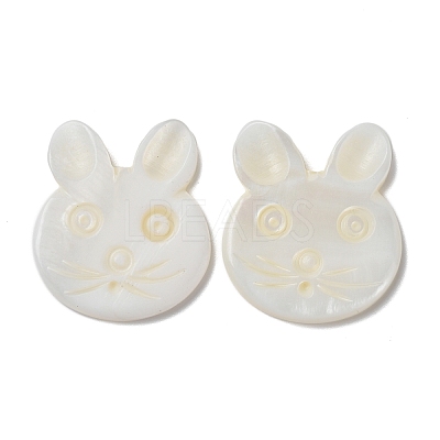 Natural Freshwater Shell Beads BSHE-P033-12-1