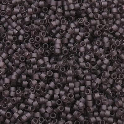 MIYUKI Delica Beads X-SEED-J020-DB2405-1