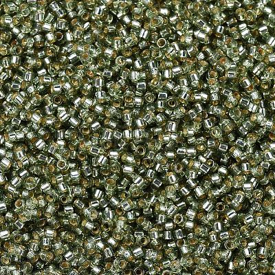 MIYUKI Delica Beads X-SEED-J020-DB2163-1