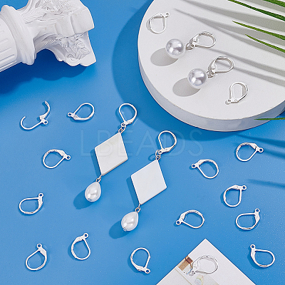 100Pcs 316L Surgical Stainless Steel Leverback Earring Findings STAS-BBC0010-61S-1