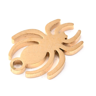 304 Stainless Steel Charms STAS-O142-47G-1