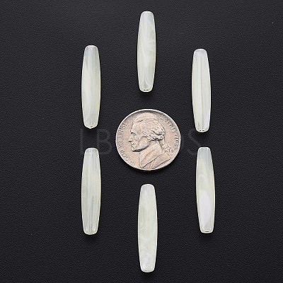 Transparent Acrylic Beads X-MACR-S373-83-B01-1