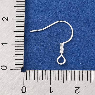 Brass Earring Hooks KK-Q363-S-NF-1