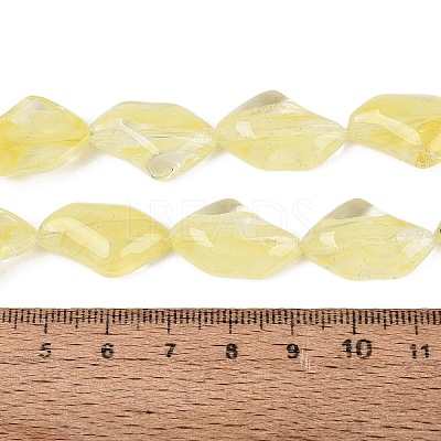 Handmade Lampwork Beads Strands LA-N046-02N-1