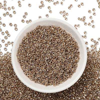 TOHO 3/0 Round Beads SEED-TR03-0989-1