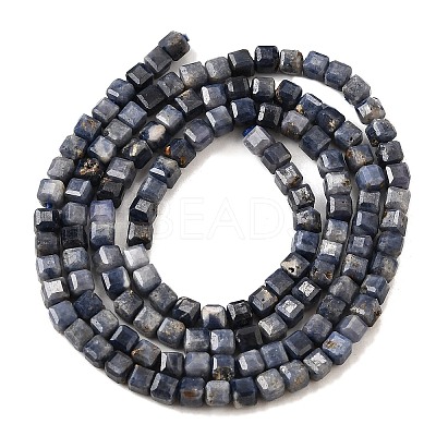 Natural Sapphire Beads Strands G-G259-B04-3x3mm-1