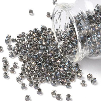 TOHO 6/0 Round Beads SEED-TR06-0266-1