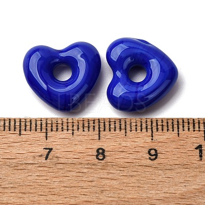 Handmade Lampwork Beads LAMP-S069-04P-1
