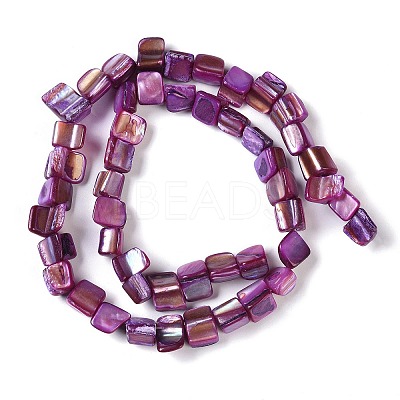 Dyed Natural Freshwater Shell Beads Strands X-SHEL-P016-01D-1