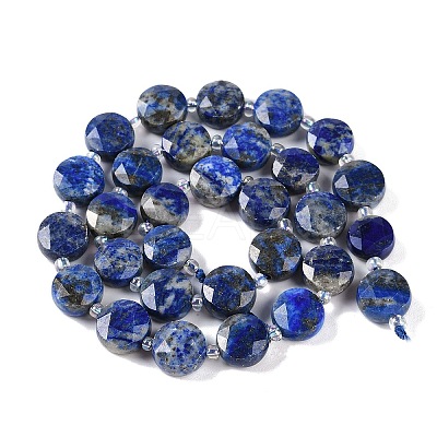 Natural Lapis Lazuli Beads Strands G-N342-16-1