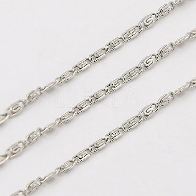 Tarnish Resistant 304 Stainless Steel Lumachina Chains CHS-K002-21C-1