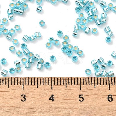 Glass Seed Beads X-SEED-S042-04B-23-1