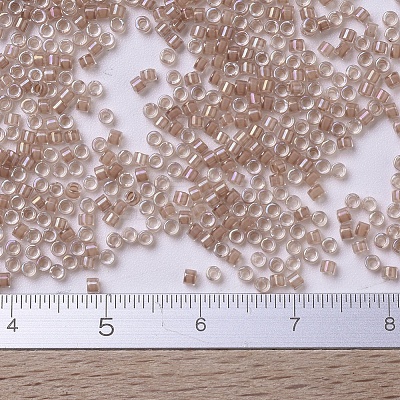 MIYUKI Delica Beads X-SEED-J020-DB0069-1