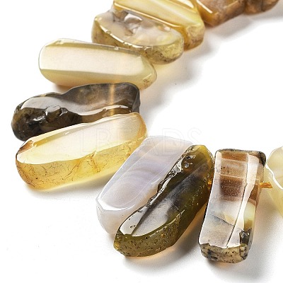 Natural Botswana Agate Beads Strands G-L551B-15-1