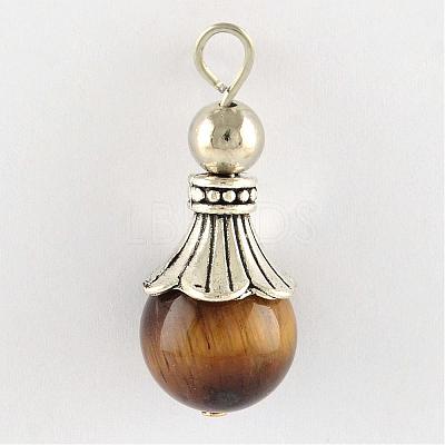Natural Tiger Eye Pendants G-Q459-02L-1