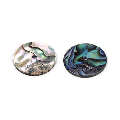 Natural Paua Shell Beads SSHEL-N040-20B-1