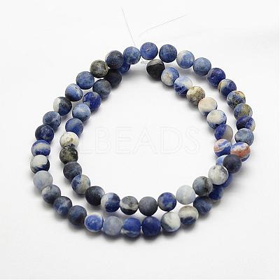 Natural Sodalite Beads Strands G-J364-01-6mm-1