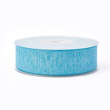 Polyester Ribbons SRIB-L051-25mm-C007-1