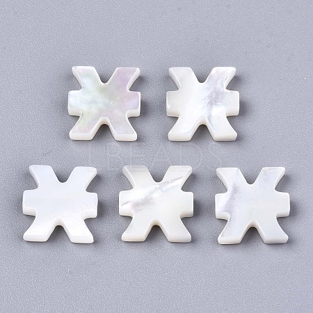 Natural White Shell Beads SSHEL-ZX004-02E-1