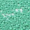 Baking Paint Glass Seed Beads SEED-H002-I-A509-3