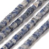 Natural Blue Spot Jasper Beads Strands G-N342-82-1