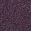 MIYUKI Delica Beads SEED-X0054-DB1012-3