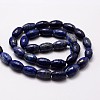 Nature Lapis Lazuli Beads Strands X-G-G878A-A25-2