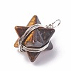 Natural Tiger Eye Pendants G-I220-C01-2