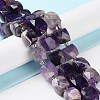 Natural Amethyst Beads Strands G-B065-A02-2