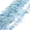 Natural Aquamarine Beads Strands G-E569-O05-1