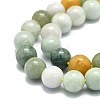 Natural Myanmar Jade Beads Strands G-E576-08A-3