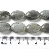 Natural Labradorite Beads Strands X-G-L164-A-34-5