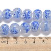 Handmade Lampwork Beads Strands LAMP-L079-05D-4