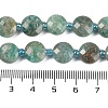 Natural Amazonite Beads Strands G-B094-A18-01-5