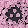 Frosted Transparent Acrylic Beads X1-OACR-P029-03B-05-1