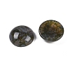 Natural Indian Agate Cabochons G-T020-18mm-38-2