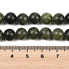Natural Gemstone Beads Z0NCT013-4