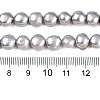 Natural Cultured Freshwater Pearl Beads Strands X-PEAR-R064-24-3