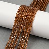 Natural Garnet Beads Strands G-M096-B03-01-1