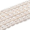 Natural Cultured Freshwater Pearl Beads Strands PEAR-J005-62-1