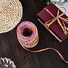 6 Colors Raffia Paper Cords OCOR-WH0063-110A-7