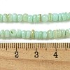 Dyed Natural Freshwater Shell Beads Strands BSHE-G039-07E-4