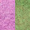 TOHO 11/0 Round Beads SEED-XTR11-2724-1