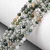 Natural Moss Agate Beads Strands G-Z116-A05-3mm-1